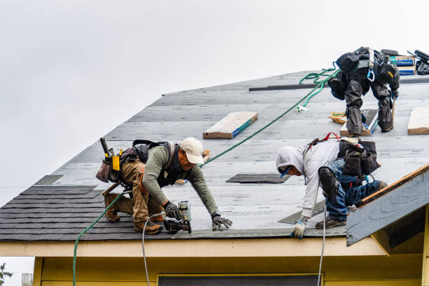 Professional Gutter Installation technician working in Mc Intyre, GA